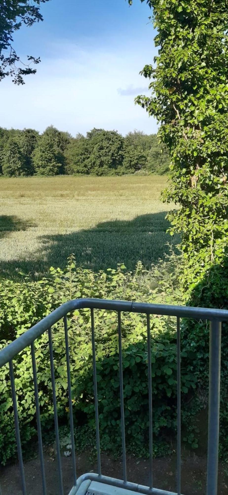 绍尔滕斯Landperle公寓 外观 照片